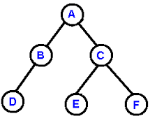 Tree binary tree