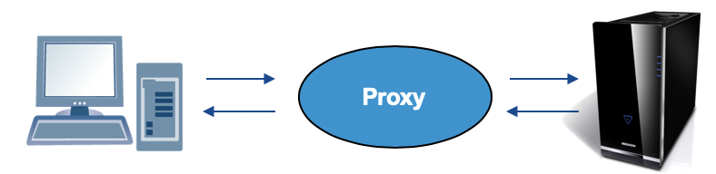 proxy arch.png
